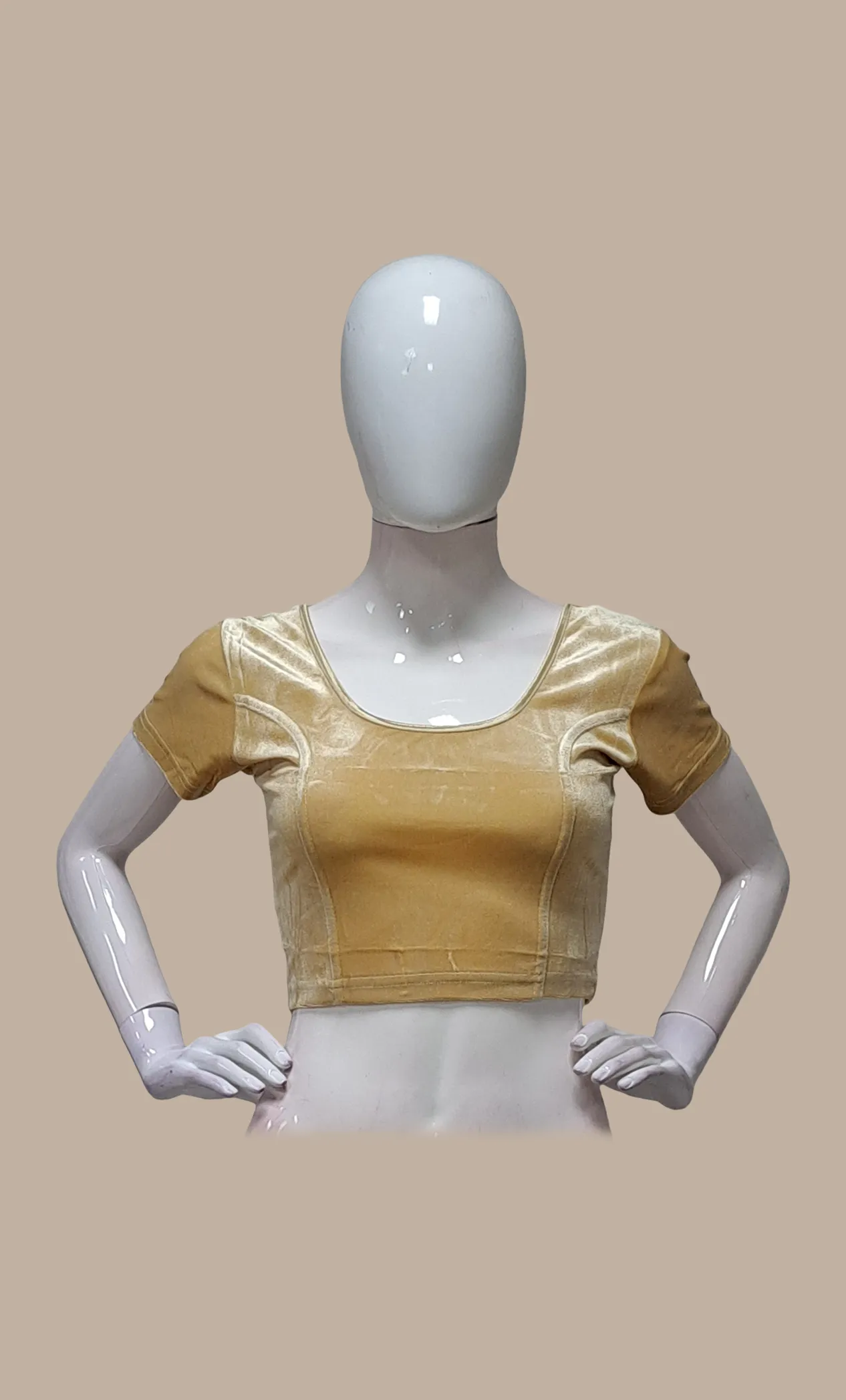 Velvet Light Beige Stretch Blouse